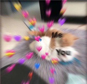 超撩的可爱表情包,女生抵抗不了的表情包 超撩的可爱表情包,女生抵抗不了的表情包第5张